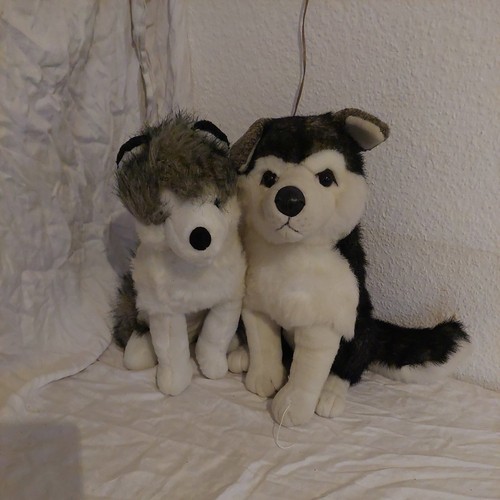 Stofftier husky - stofftier,