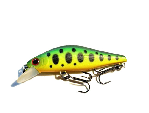 Daiwa tournament wise - tournament,