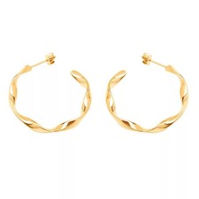 Earrings gold hoop earrings