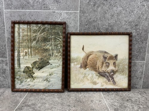 Christian kröner wildschweine - christian,