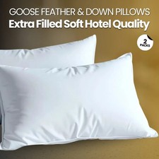 1-4 Stück Gänsefedern &