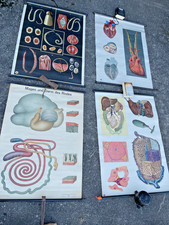 4x DDR SCHULKARTE ROLLKARTE