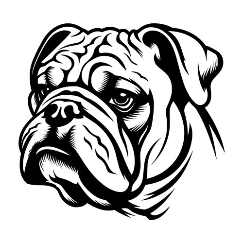 Englische bulldogge auto - englische,