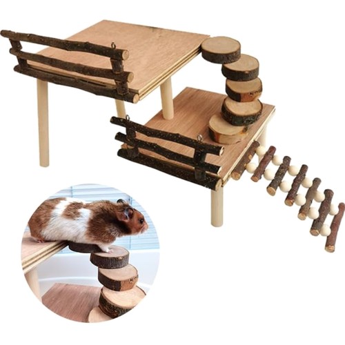 Meerschweinchen-Kletterspielze