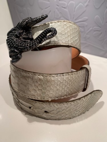 Damengürtel reptiles - damengürtel,