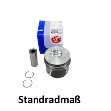 Kolben STD 79,51Ø Zylinder 3