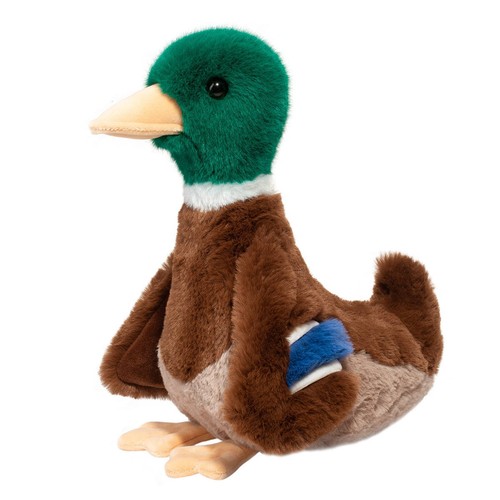 Stockente erpel wildente - stockente,