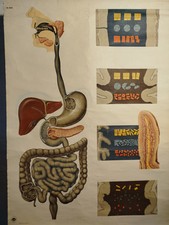 Schulwandkarte DDR Rollkarte