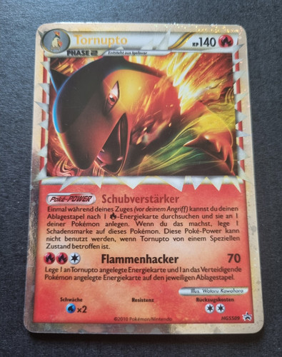 Pokémon tornupto typhlosion - pokémon,