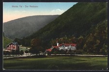 Ilfeld, Ilfelder Tal, Blick auf den Netzkater und Umgebung, Ansichtskarte 