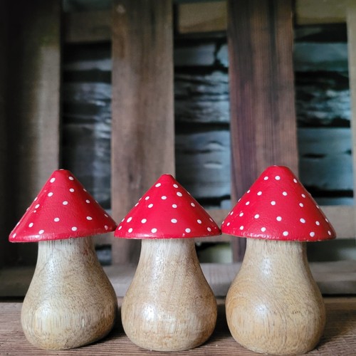 Fliegenpilz pilz holzpilz - pilz,