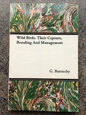 wild birds trapping breeding
