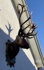 Hirschkopf geschnitzt kapitale