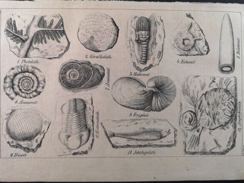 Lithographie von 1832 marine - von, 1832.