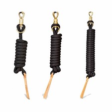 Norton ethologische Longe