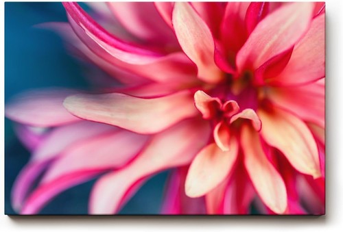 Sinus art wandbild - sinus,