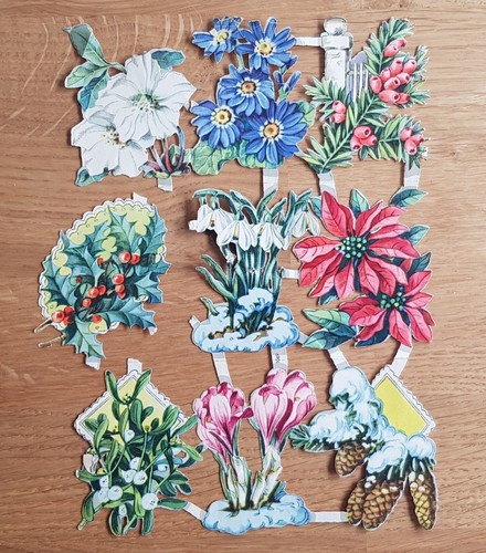 Ddr stammbuchbilder blumen - stammbuchbilder,