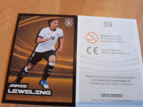 Ferrero 2026 panini - wm, dfb
