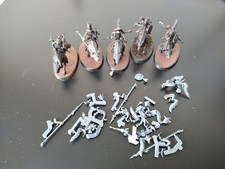 Wolfsgits bande age sigmar - bande,