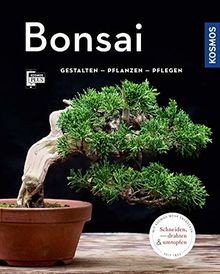Bonsai - , garten)