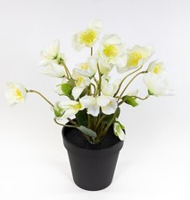 Christrosenbusch 30cm weiß im Topf JA Kunstblumen künstliche Christrose Pflanzen