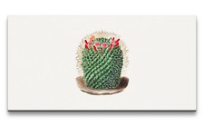 120x60cm Remaster Kaktus mit