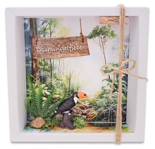 Geldgeschenk Verpackung Tukan