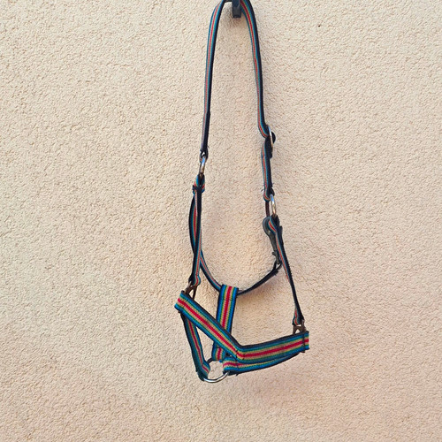 Pferde halfter aus nylon - pferde-halfter,