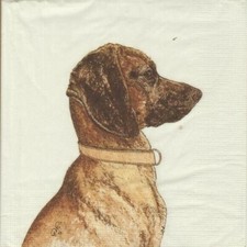3 Servietten ~  Dackel Waldi Hund Teckel