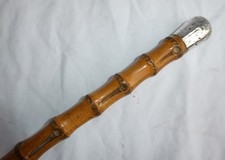Antik whangee bambus - bambus,