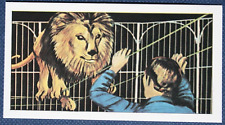WIRE WALKING LION Circus Act Vintage 1968 Illustrated Card KE14M