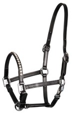 Fohlenhalfter Ponyhalfter Showhalfter aus Leder mit Strass mehrfach verstellbar