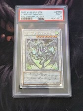 Sternenstaubdrache Starlight