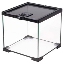 Terra Della Glas-Terrarium