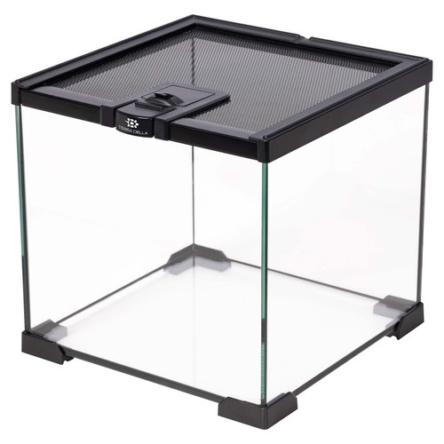 Terra della glas terrarium - terra,