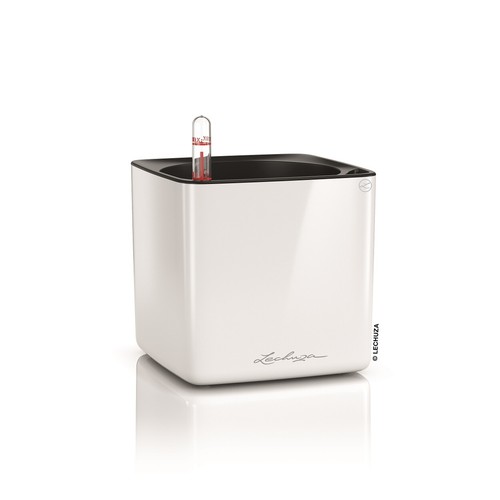 Lechuza cube glossy - cube,