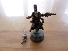 Aeldari Harlequin Eldar Warhammer 40K  top bemalt