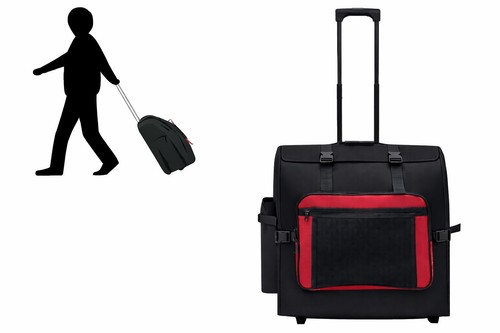 Steirische harmonika trolley - harmonika,