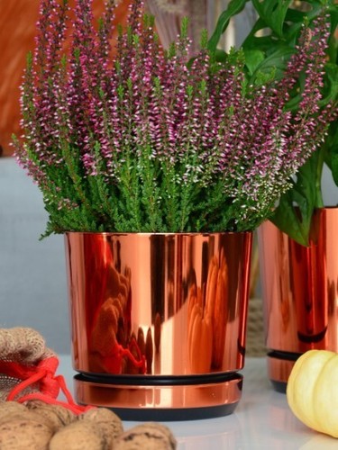 Blumentopf dekor ø12 cm - dekor, Ø12-32