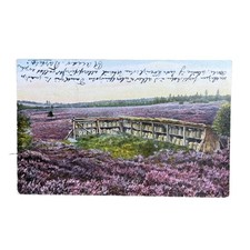 Postkarte AK Lüneburger Heide