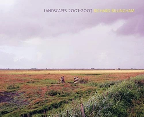 Landscapes 2001 2003 - 2001,