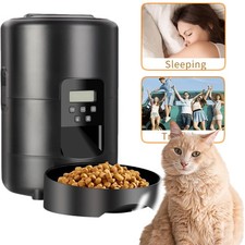 Futterautomat Katzenfutter