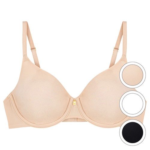 Triumph body make - body, up