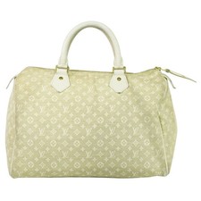 LOUIS VUITTON LV Speedy 30