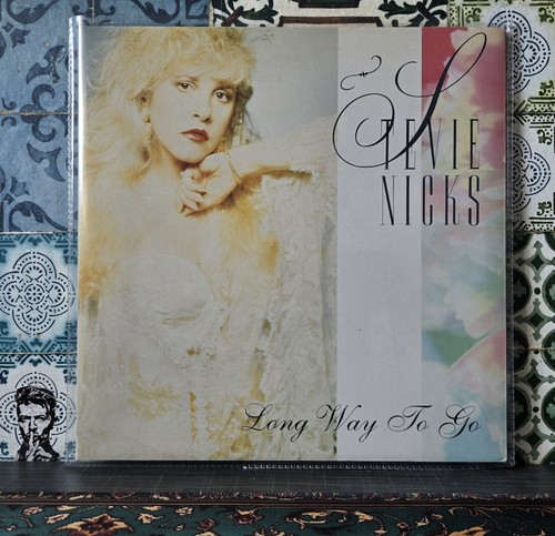 Stevie nicks long way - to, go