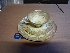 Winterling Röslau Bavaria Tasse Sammeltasse Sammler