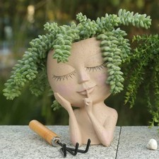 Blumentopf gesicht sukkulente - blumentopf,