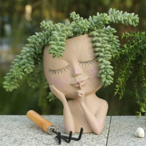 Blumentopf gesicht sukkulente - blumentopf,
