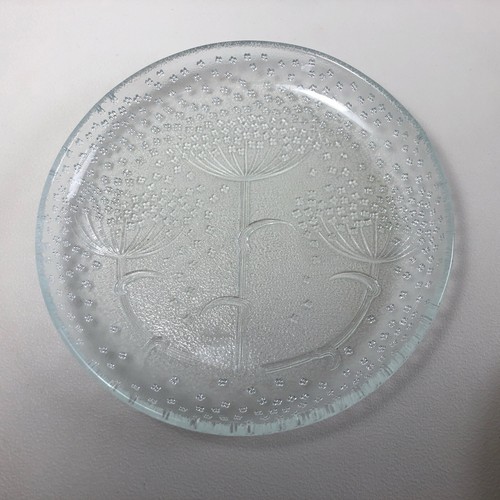 Rosenthal blütenregen - rosenthal,