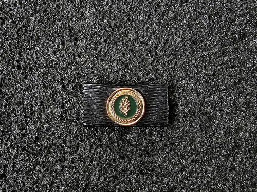Bandspange bundeswehr - bandspange,